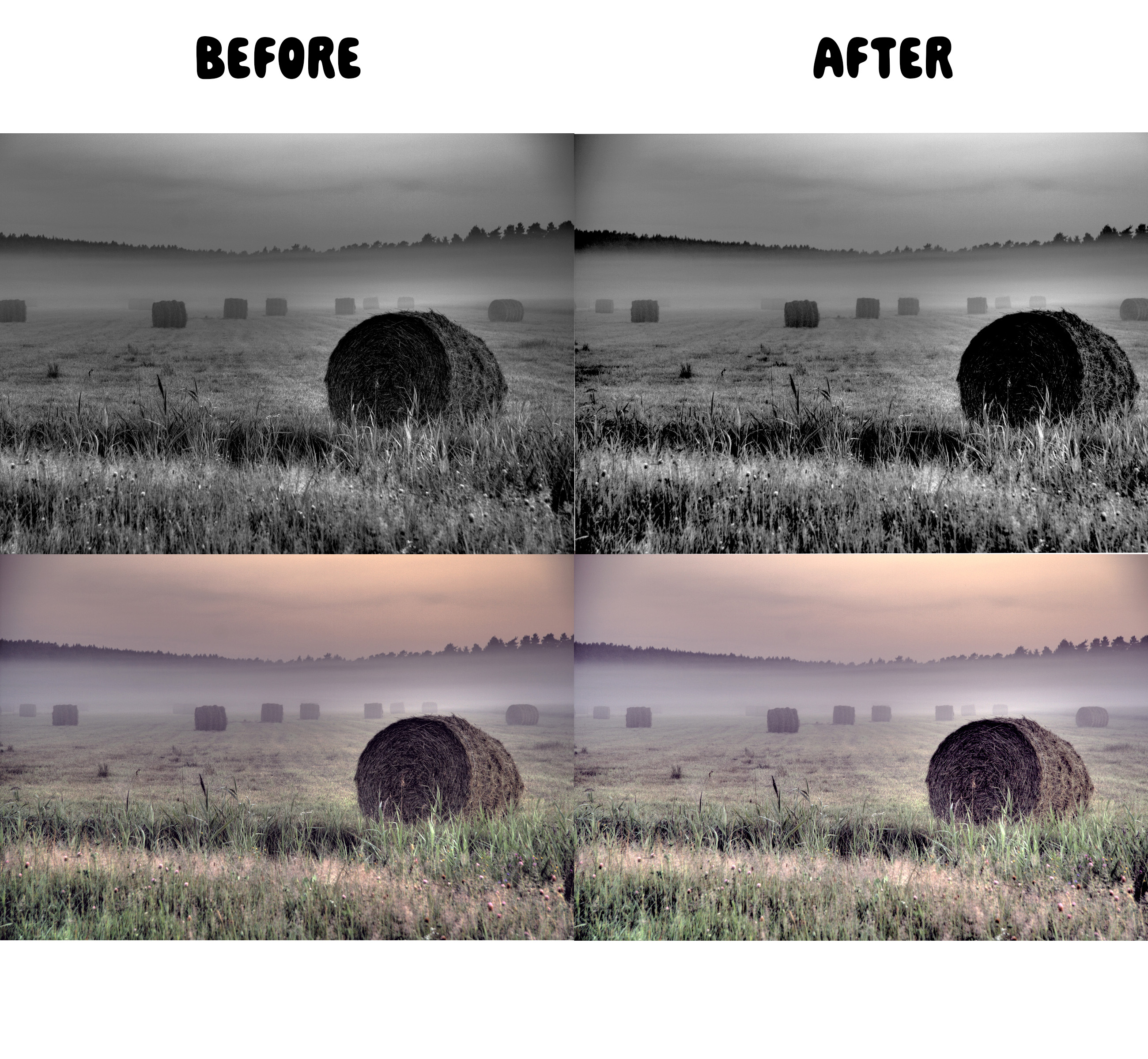 Field before and after Photoshop Levels adjustment